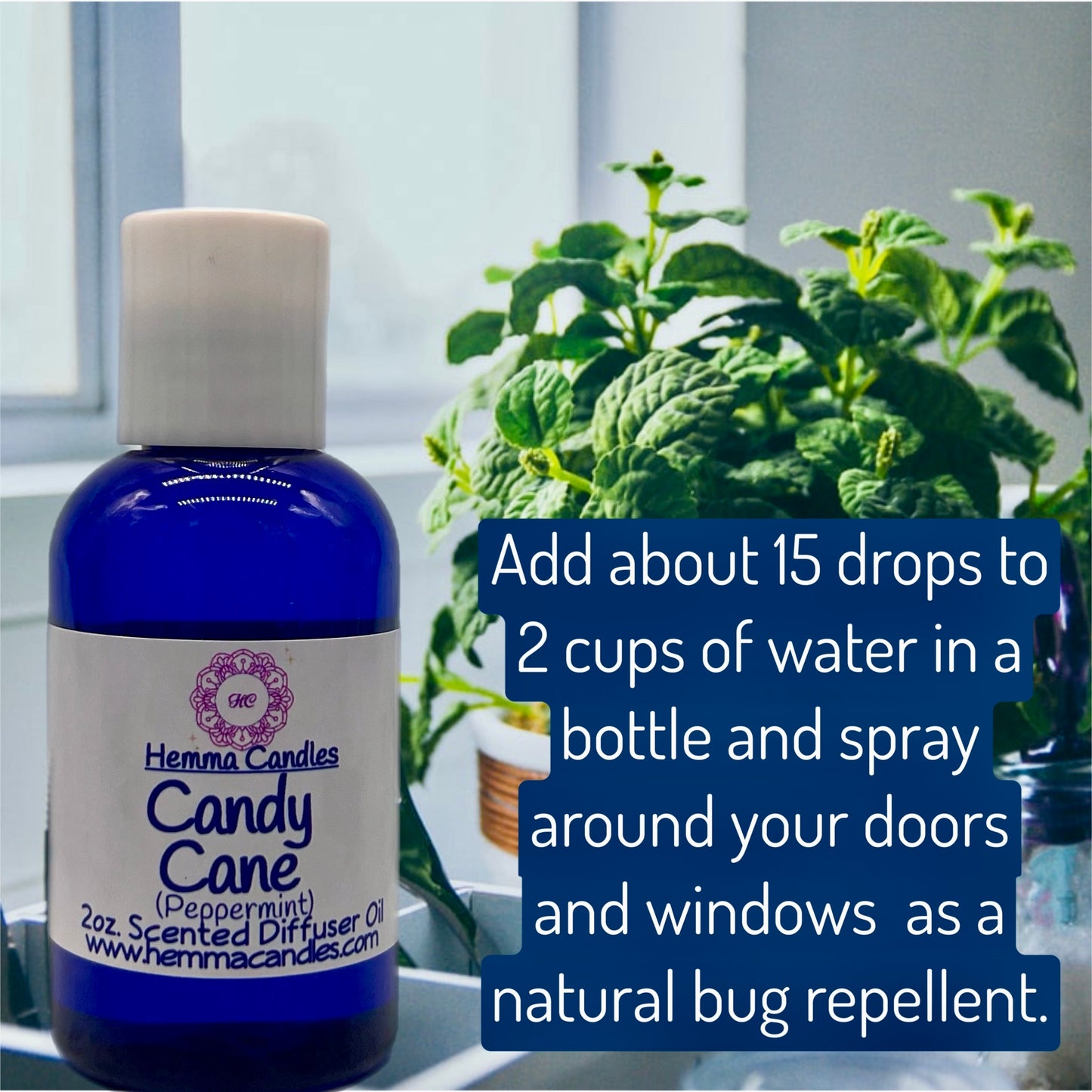 Scented Diffuser Oils