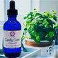 Scented Diffuser Oils