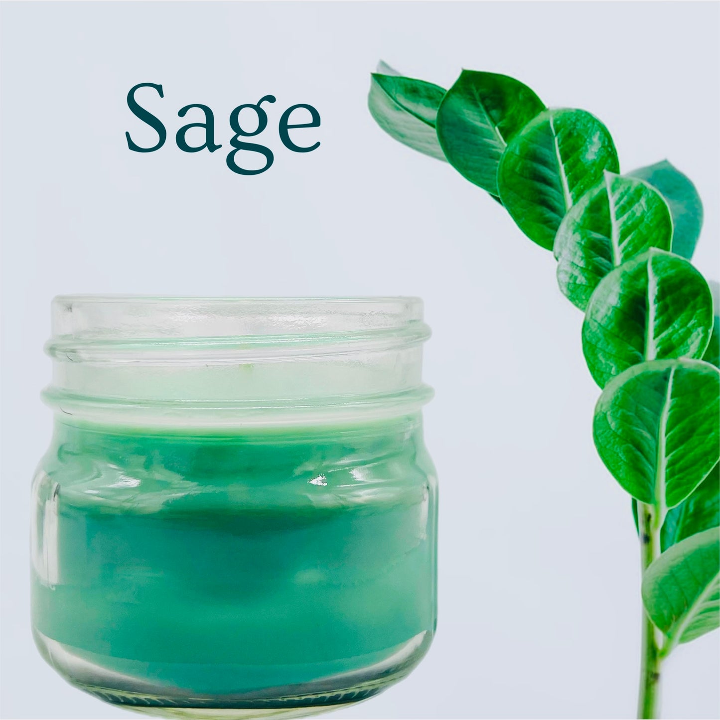 Sage